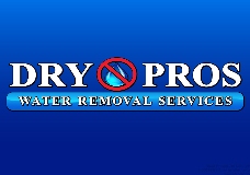 Dry Pros