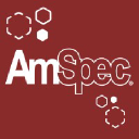 Amspec LLC