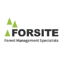 FORSITE CONSULTANTS LTD