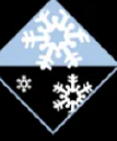 ICE Services, Inc.