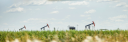 Northern Hawk Energy Ltd.
