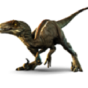 Raptor Plumbing LLC