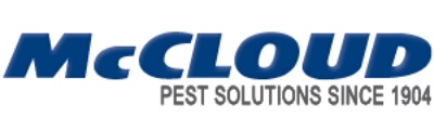 McCloud Services
