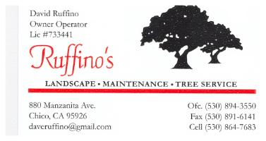 ruffinos landscape