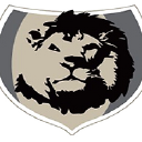 company-logo